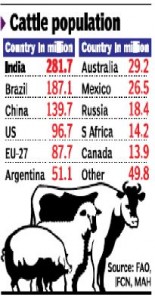 cow-article