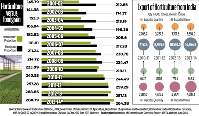 India's vegetable production