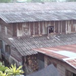 Affordable homes: Homing in on plain truths affordable housing