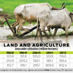 Agriculture in India