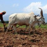 Are farmers in the country really earning less?