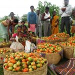 jharkhand-harvest