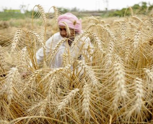 Why ‘protection’ from markets leads to rip-offs: An example from tribal India