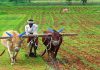 Budget 2018: Great news on the farm front – if ground realities permit