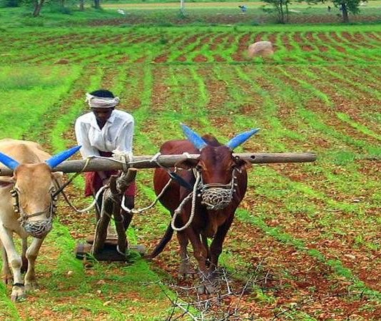 The urgent need to tax agricultural income