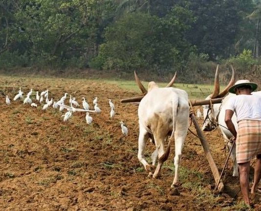 Some red flags in the economy numbers: Agriculture is the most alarming