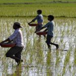 Farms destroy value, not because of farmers but because of the government