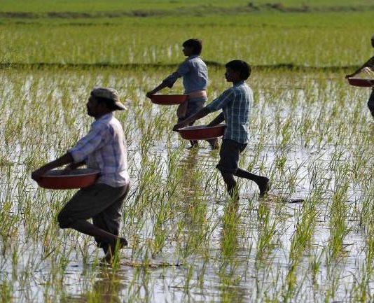 Farms destroy value, not because of farmers but because of the government