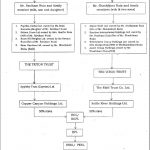 Essar-group-corporate-structure1