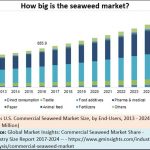 2018-06-12_seaweed-end-user-market