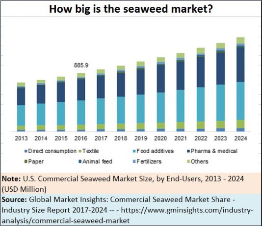 Cultivating seaweed could be a massive opportunity for India - AsiaConverge