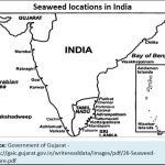 2018-06-12_seaweed-locations