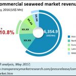 2018-06-12_seaweed-market-size