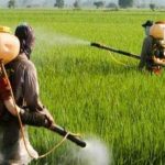 The Madhya Pradesh agricultural marvel has miles to go