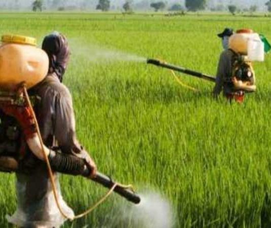 The Madhya Pradesh agricultural marvel has miles to go