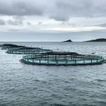 2018-10-07_GTF-Aquaculture Cage Nets