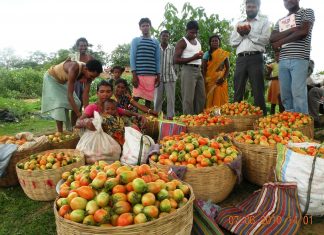 Falling price of food isn’t always good news; it signals deep trouble for India’s rural economy