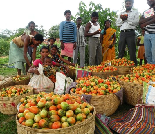 Falling price of food isn’t always good news; it signals deep trouble for India’s rural economy