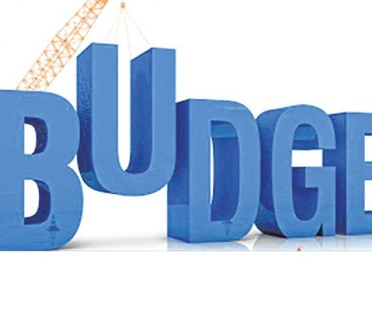 Does the budget not care for human capital?