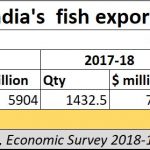 2019-07-27_desalination-fish-exports