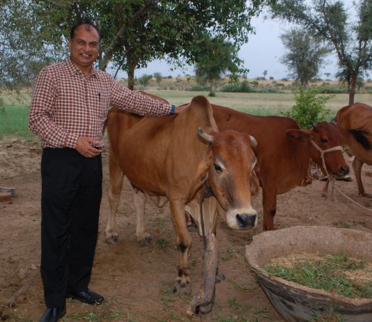 Cattle semen and breeding is a story that India should be proud of