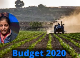 Budget 2020: To fix the slowing economy, begin with agriculture