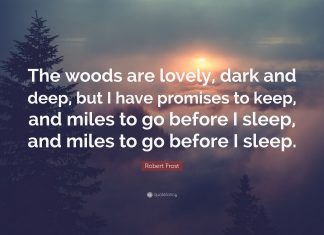 Miles to go before I sleep