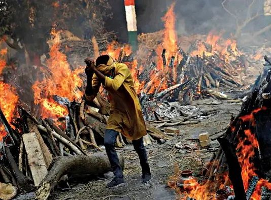 The missing dead series