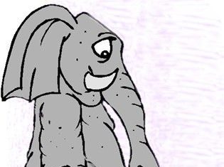 Elephant flea