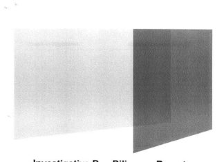 The Kroll papers in the Jatin Mehta case