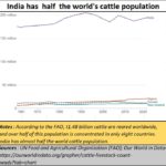 2022-09-22_India has half the world cattle population