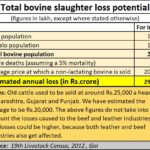 2023-01-19_Slaughter losses