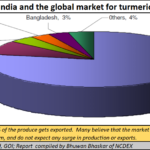 2023-06-26_turmeric-India and world