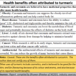 2023-06-26_turmeric-medicinal uses