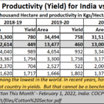 2023-11-06_cotton – yield production