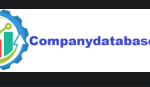 companydatabase new