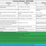 2026-01-26 currency gateways-profile, CIPS, SPFS, SWIFT