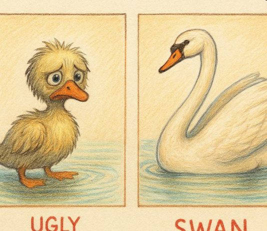 Iran was once an ugly duckling