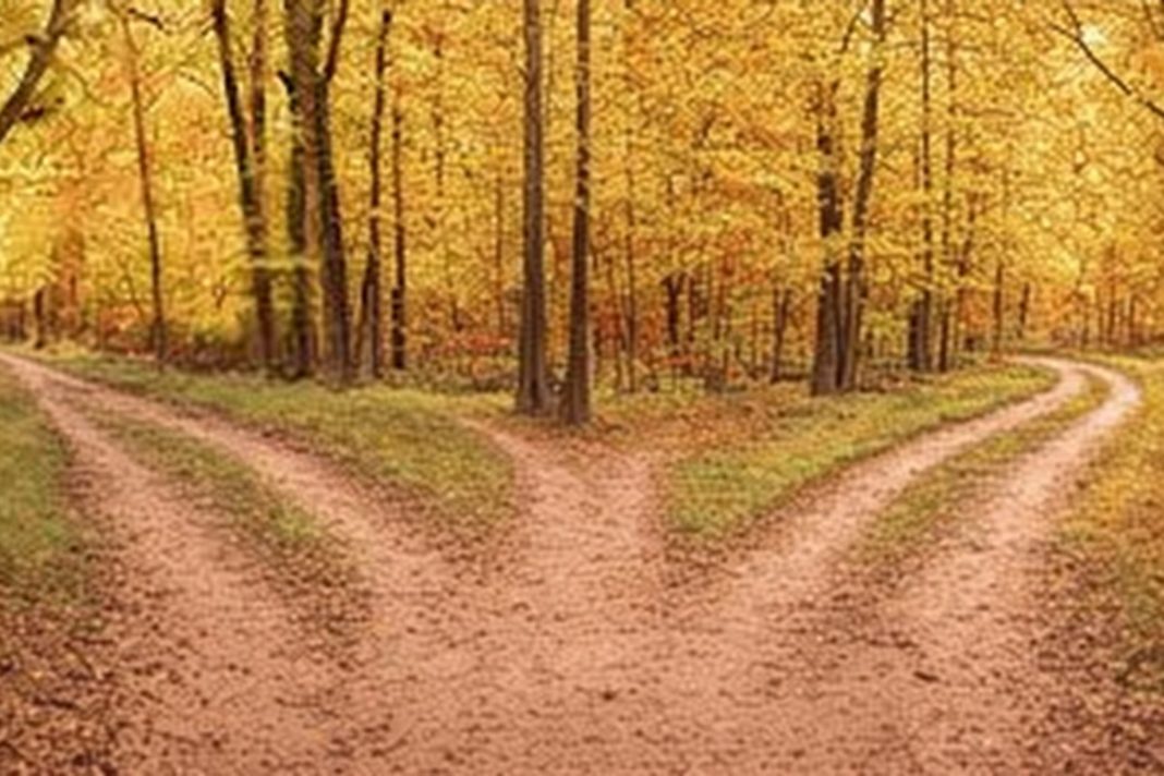 2026-04-13_Image_options before the government