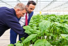 Netherlands Pushes India’s Agri-Tech Revolution